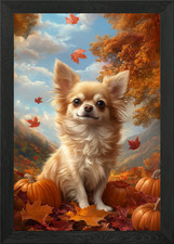 Chihuahua in Autumn Landscape