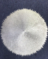 Set of 6 placemats elegant
