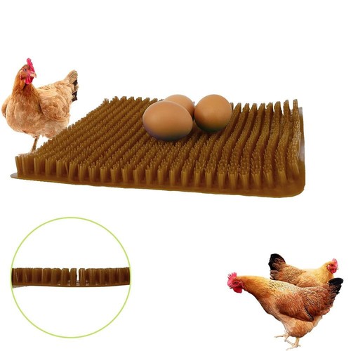 1pc chicken nesting - chicken, pads