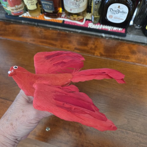 Lot red birds with - of,
