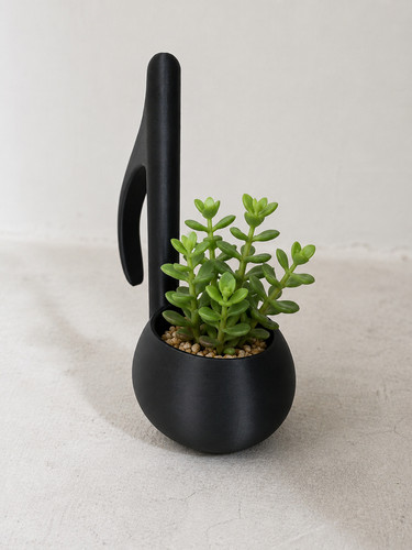 Musical note succulent - musical,