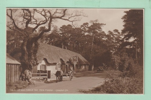 Hampshire postcard cat - -,