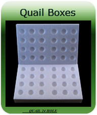 5 x 24 QUAILS HOLE POLYSTYRENE