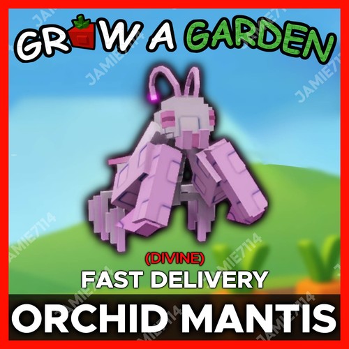 Orchid mantis cheapest - orchid,