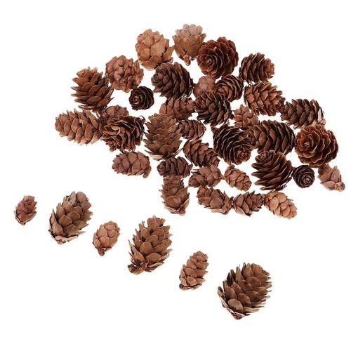 50x mixed size - mixed, real