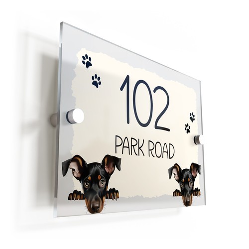 Doberman pinscher dog puppy - pinscher,