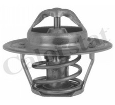 New Thermostat, coolant for ROVER AUSTIN:MINI-MOKE,400 Tourer,MONTEGO Break,