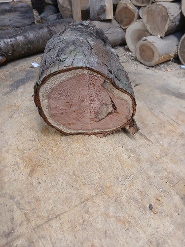 Fully seasoned large sequoia - fully,