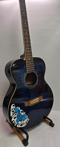 Freshman renfbl acoustic - freshman,