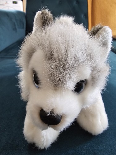Husky cuddly toy long plush - husky,