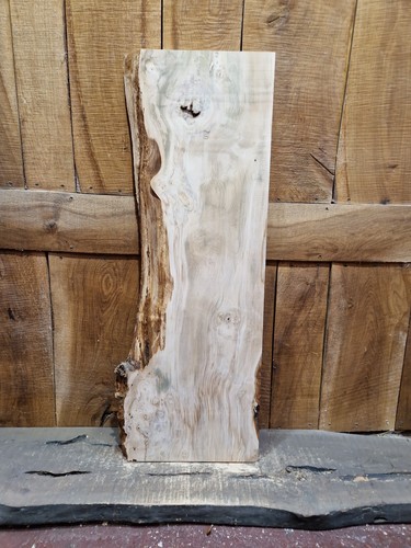 Live edge hornbeam slab - edge,