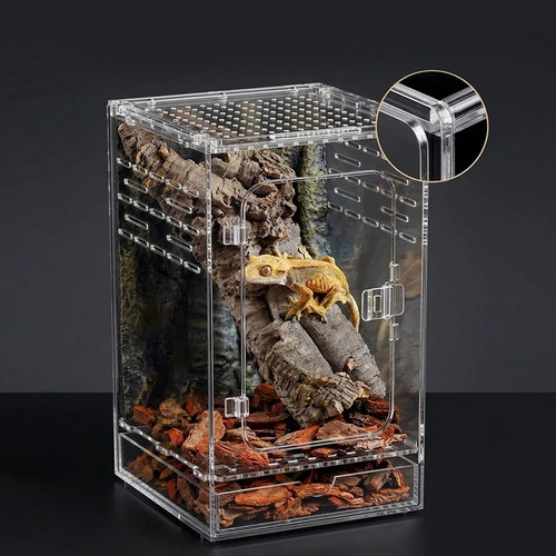 Acrylic jumping spider - jumping,