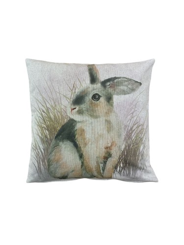 Large rabbit small - large,