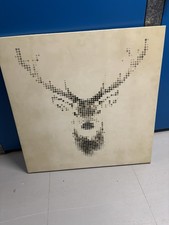 Stag Canvas print