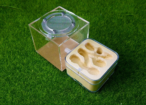 Ant acrylic plaster combo - combo,