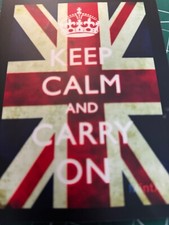 KEEP CALM  FLASHING T SHIRT