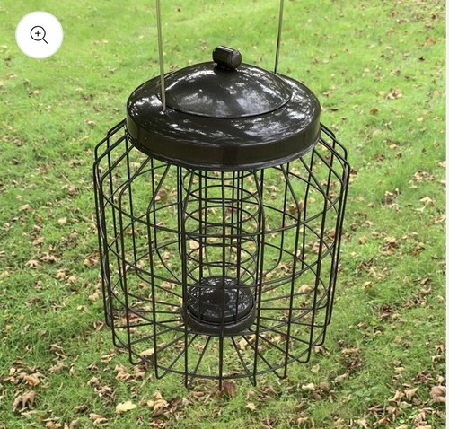 Squirrel proof hanging - hanging, bird