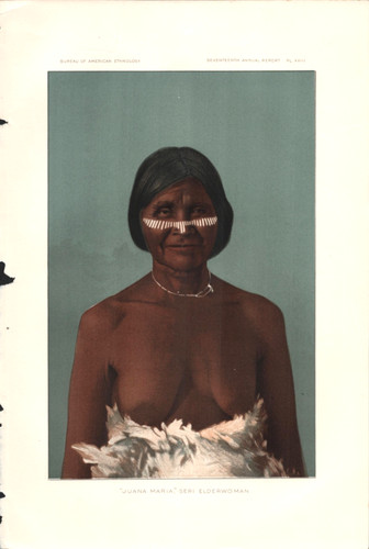 1895 seri elderwoman juana - 1895,