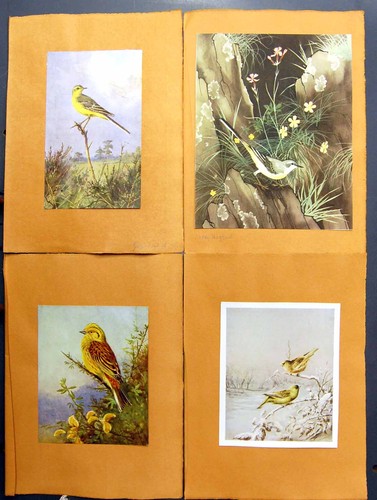 Antique old print - antique,