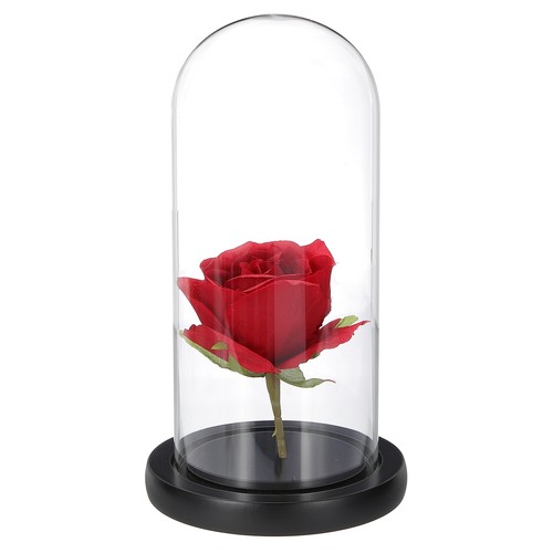 Glass cloche display dome - glass,