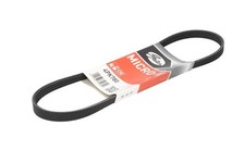 GAT multi - ribbed belt fits