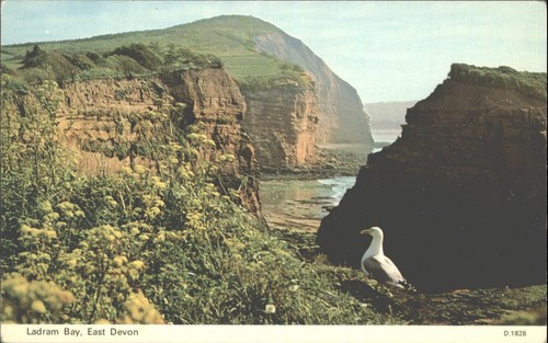 Ladram bay east - bay, &