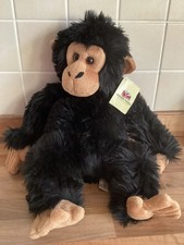 Beautiful Keel Chimpanzee