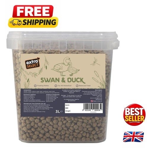 Healthy duckling and waterfowl - healthy,