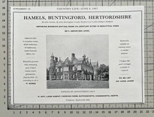 Hamels - Buntingford -
