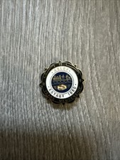 15 Years Membership Aslef Pin
