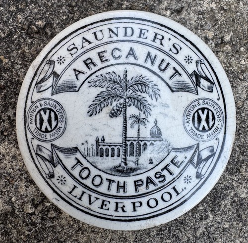 Saunder areca nut tooth - areca,