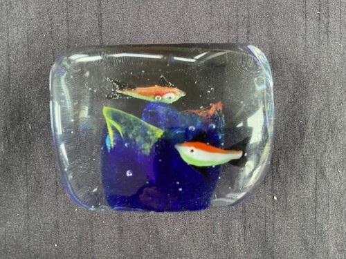 Murano fish tank paperweight - fish,
