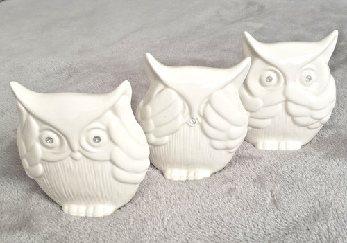 Wise whie owls - owls, no
