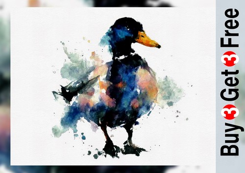 Expressive mallard duck - expressive,
