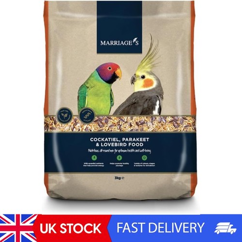 Conure parrot food for - conure,