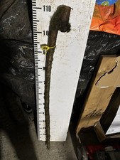 Blackthorn SHANK WALKING STICK