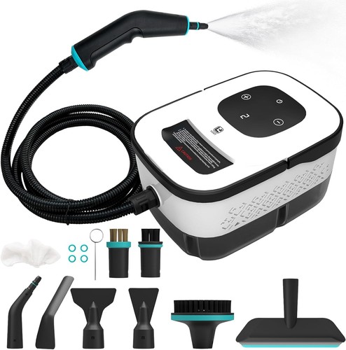 Efficient 1250ml steam cleaner - steam,