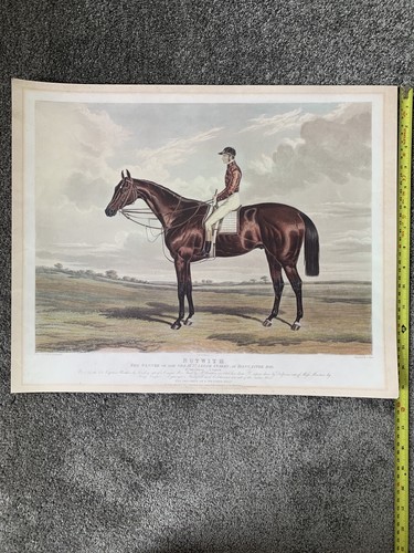 Horse racing prints set - horse,