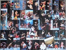 WWF WRESTLEMANIA LIVE PHOTO CARDS COMIC IMAGES 1999 WWE WRESTLING