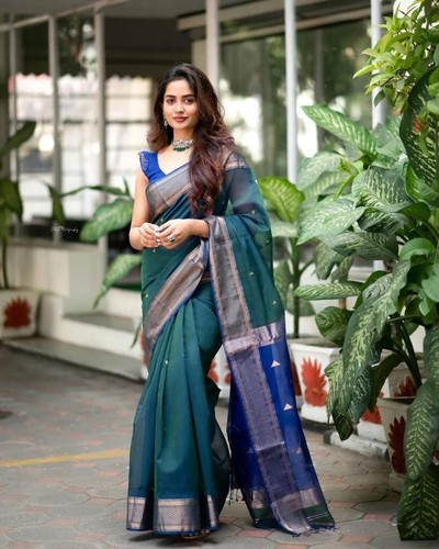 Saree wear designer - designer, indian