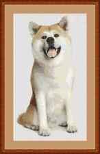Japanese Akita Dog Cross