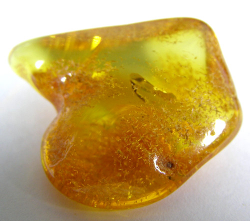 Natural baltic amber - natural,