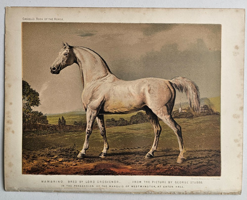 1876 antique horse print - 1876,