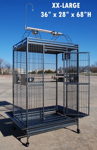 Xxxlarge x28 x68 parrot - xxxlarge,