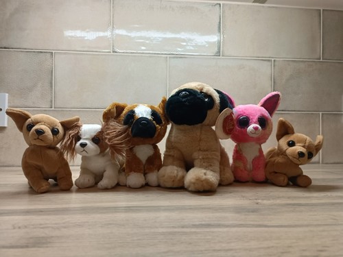 Chihuahua pug cavalier soft - cavalier,
