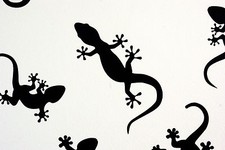 Gecko Lizard Vinyl Wall Art