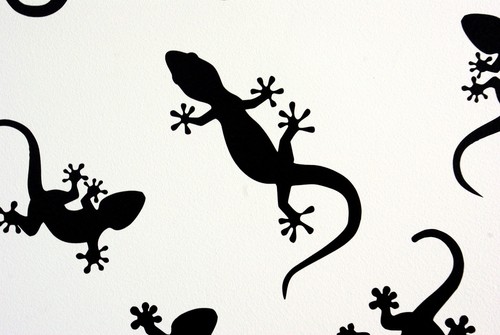 Gecko lizard vinyl wall - vinyl,