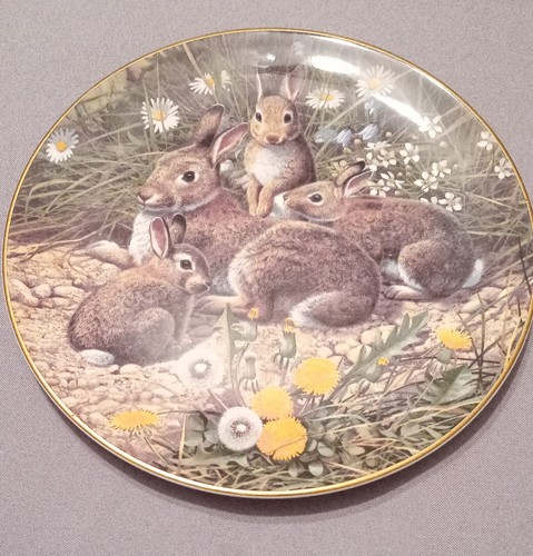 Royal doulton china - royal,