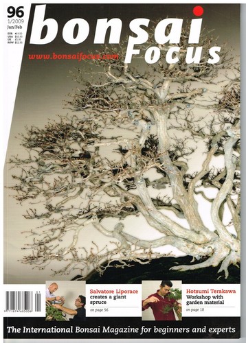 Bonsai focus jan - bonsai, feb