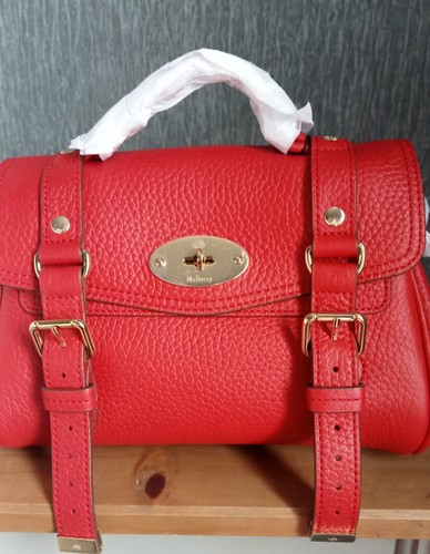 Stunning mulberry mini - stunning,